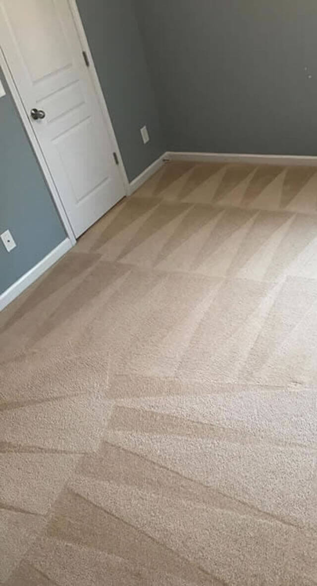 Carpet